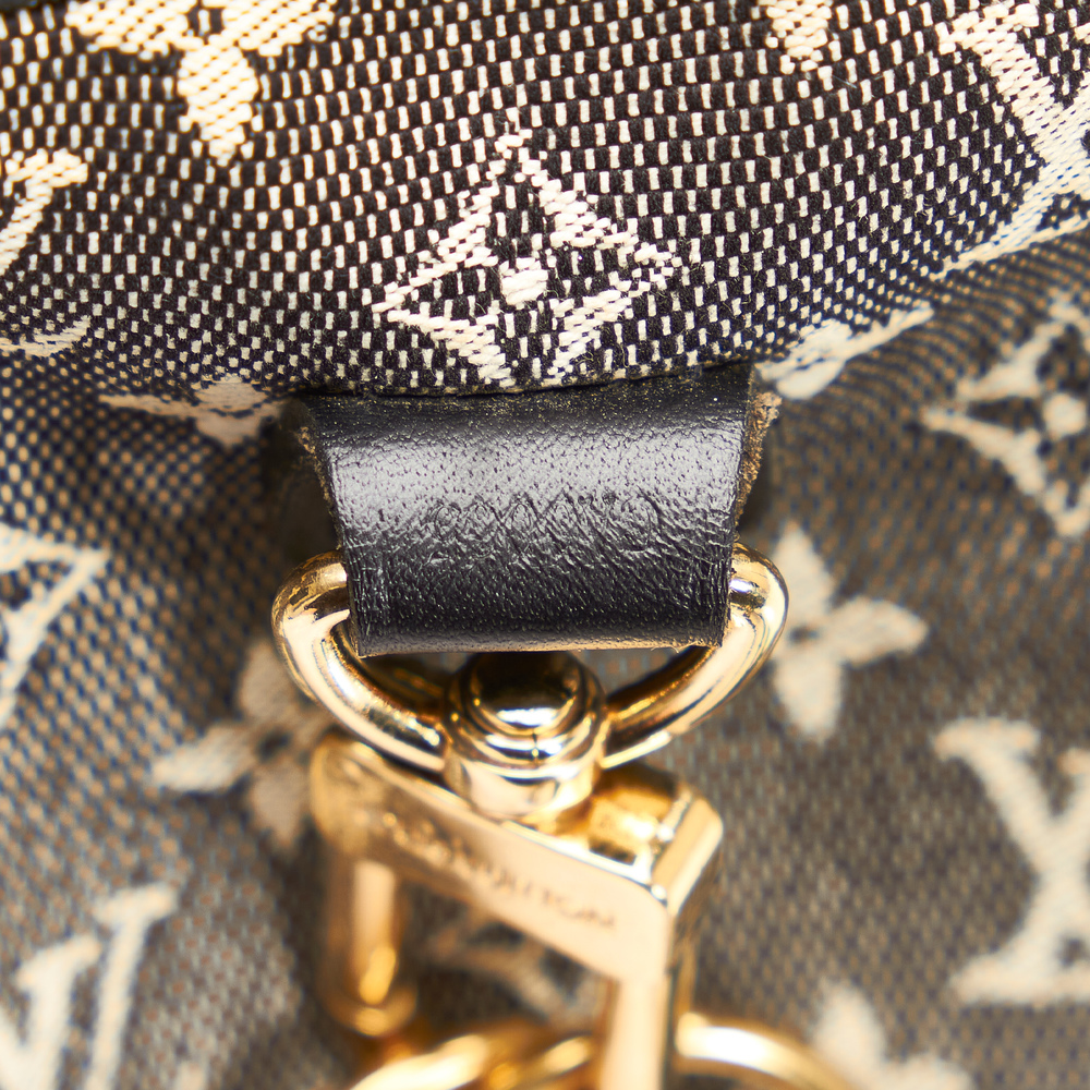 LOUIS VUITTON Monogram Mini Lin Camera Bag - Picture 7 of 10